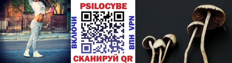 OMG tor  купить  сайты  Алексин  Галлюциногенные грибы мухоморы 