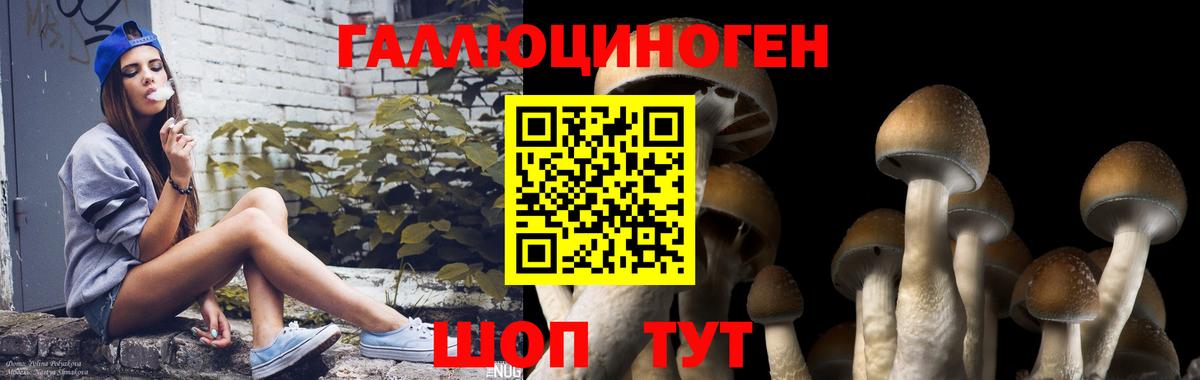 цена наркотик  Вход с VPN  Алексин  Псилоцибиновые грибы Magic Shrooms 