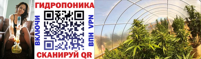 Конопля семена Алексин